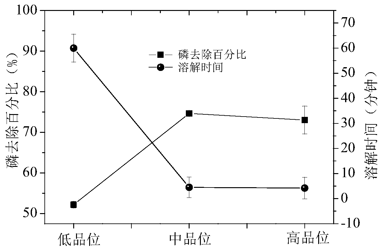 Production method for achieving phosphorus immobilization capacity amplification of clay mineral