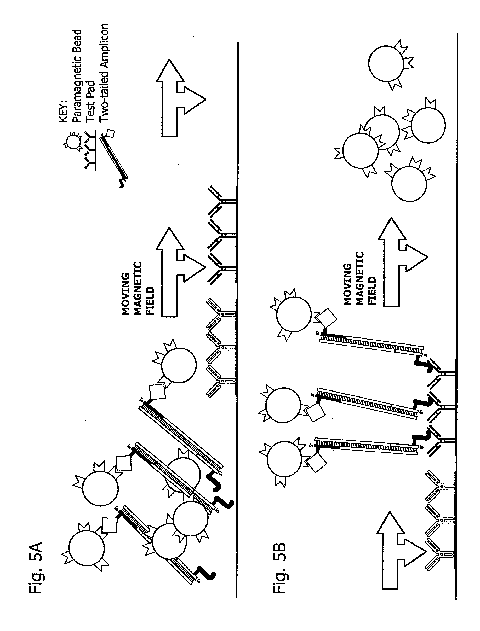 Rapid magnetic flow assays