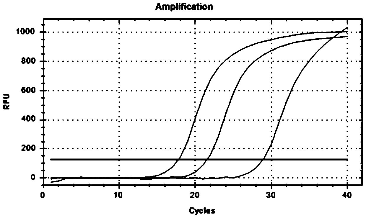 Culture method and application of lawsonia intracellularis