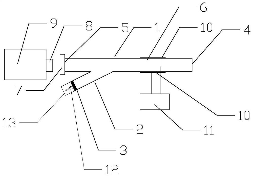 A method for detecting heavy metals using a plasma atomic emission spectrometer