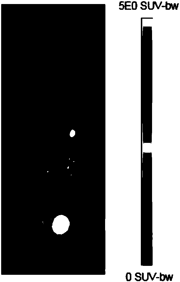 Fluorinated phosphine oxide compound and application thereof in positron emission imaging