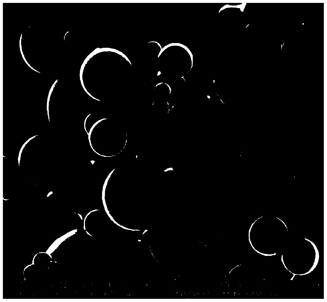 Polypeptide microsphere with effects of quick release and slow release and preparation method of polypeptide microsphere