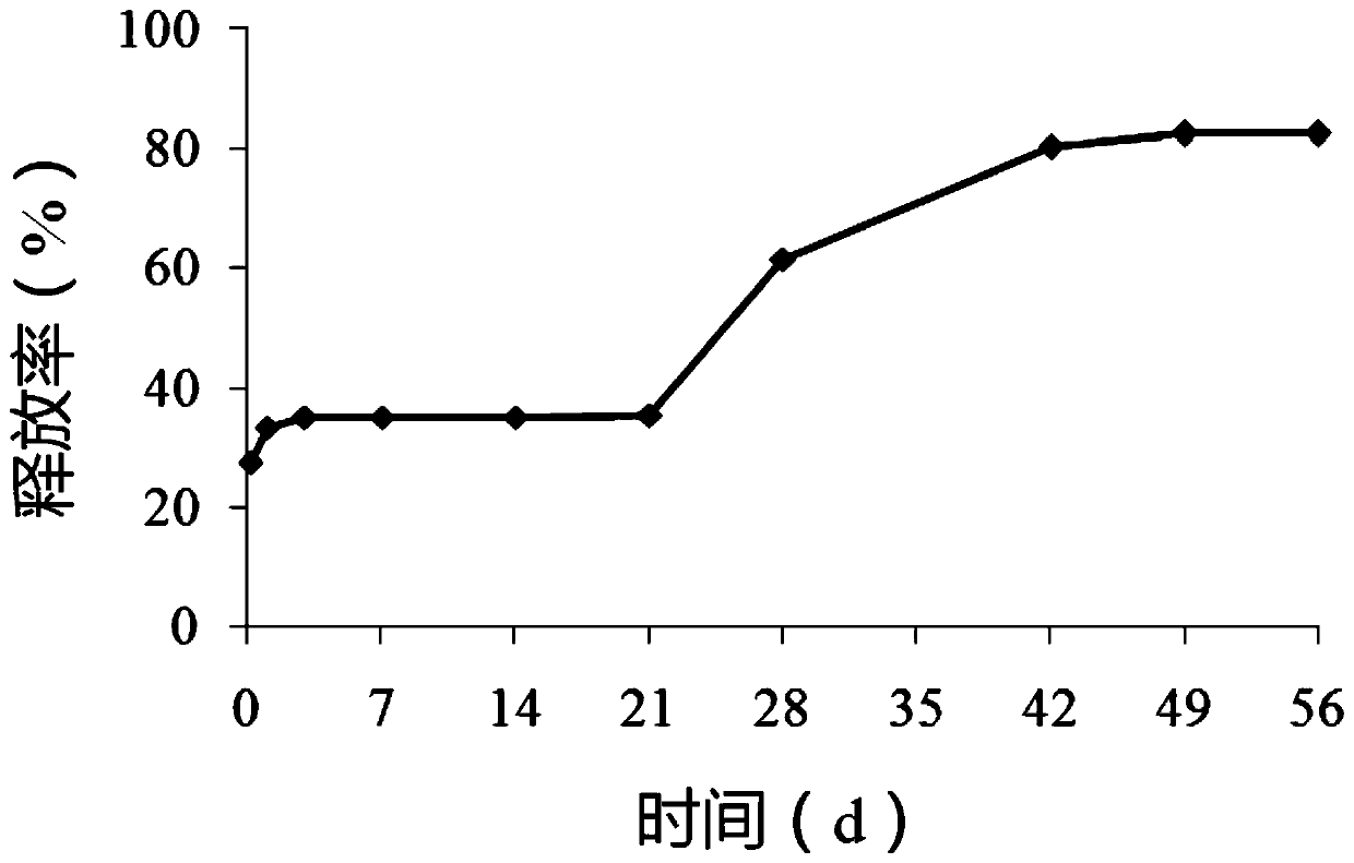 Polypeptide microsphere with effects of quick release and slow release and preparation method of polypeptide microsphere