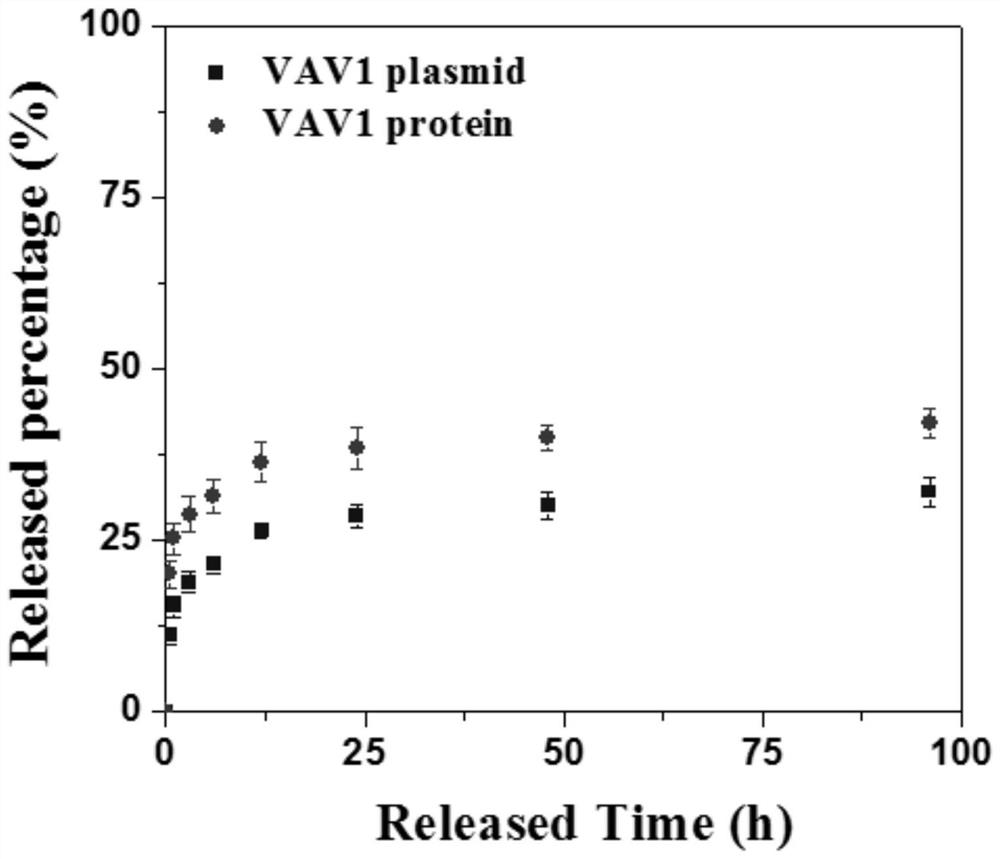 Application of VAV1 in preparation of medicine for treating central nervous system inflammation