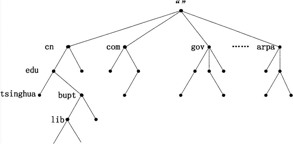 DHT expanded DNS mapping system and method for realizing DNS security