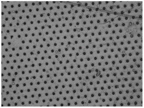 Hot-piercing manufacturing method of micro-via array biological chip