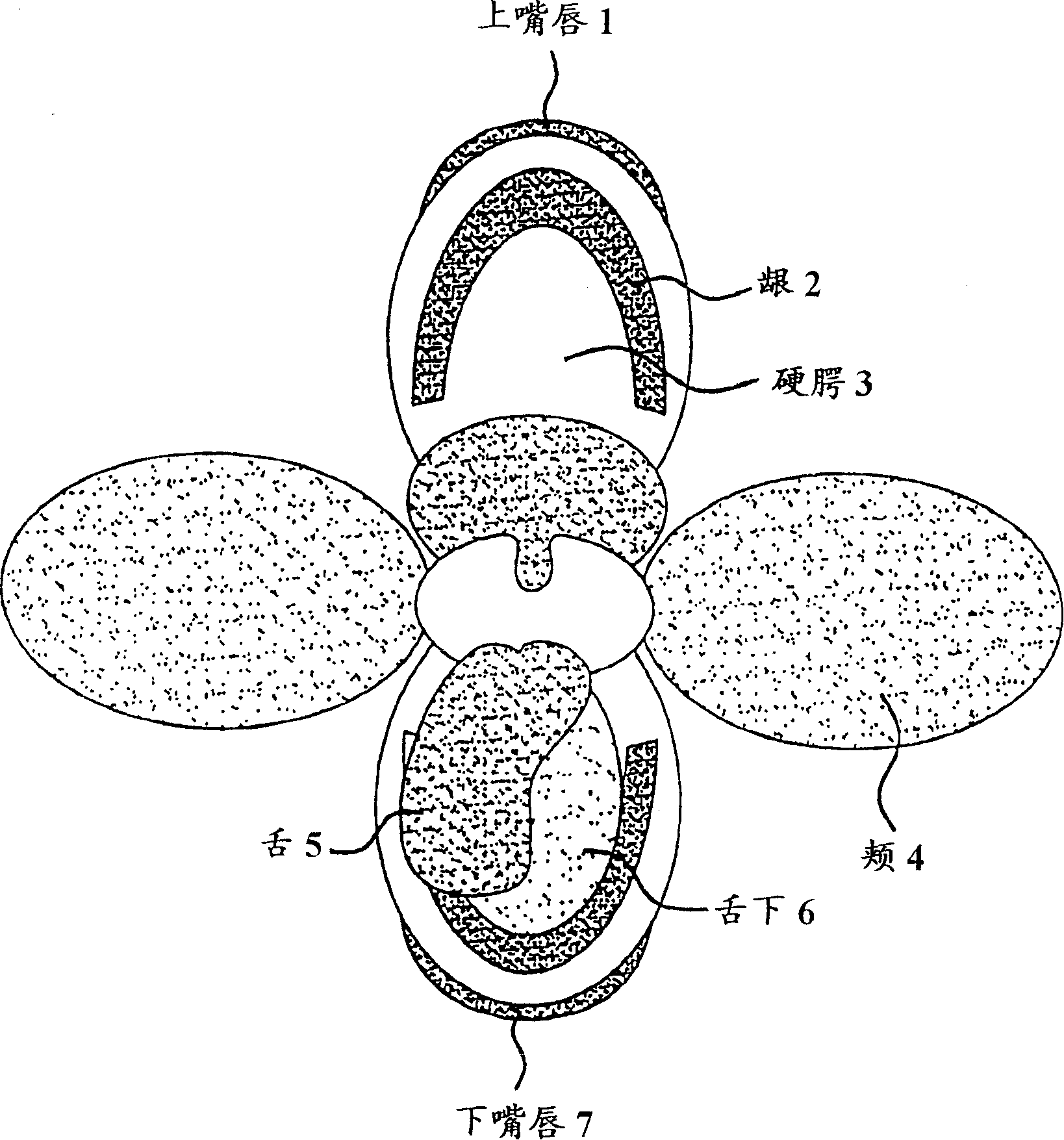 Compositions and methods for mucosal delivery