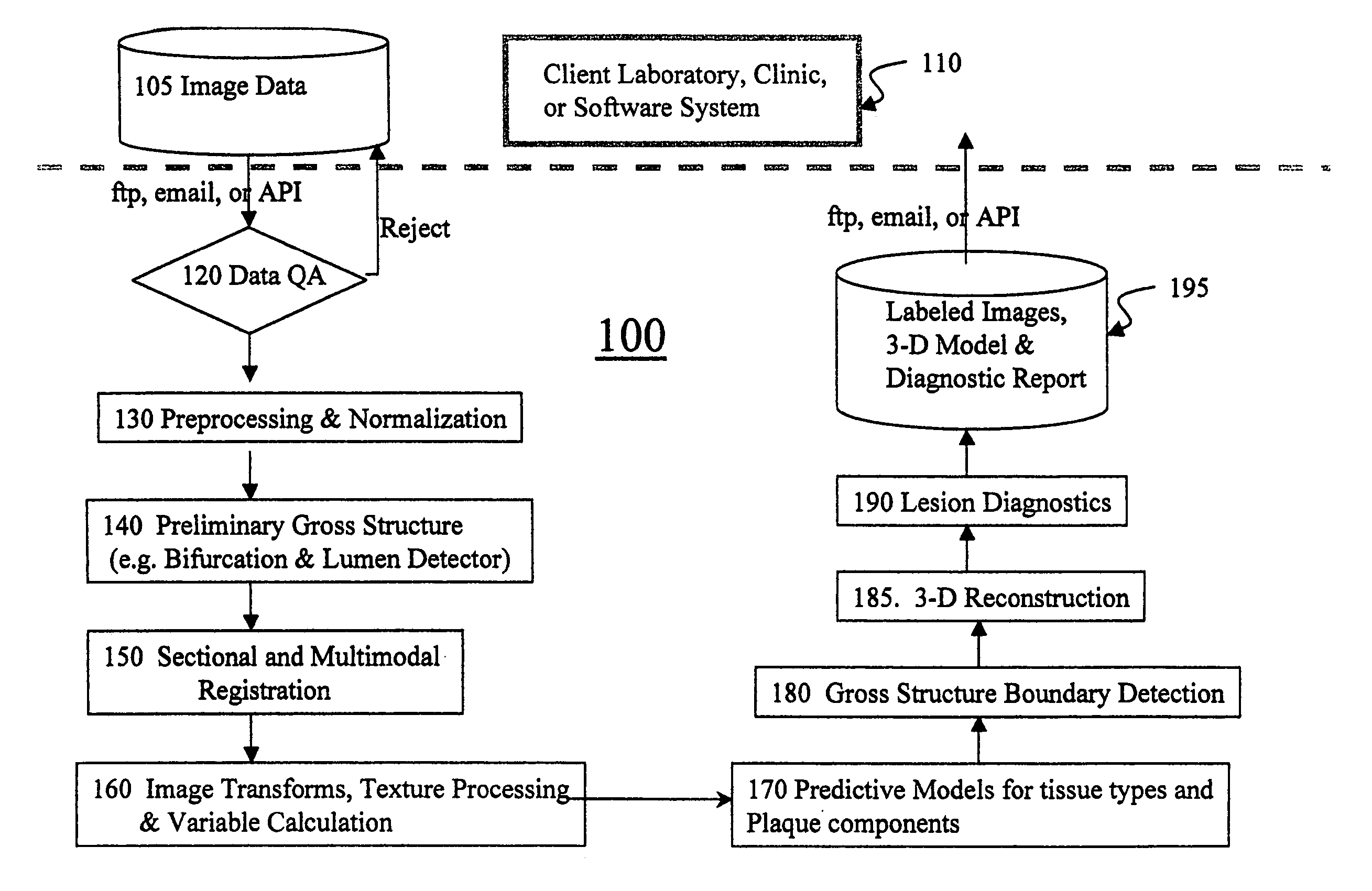 Automated methods and systems for vascular plaque detection and analysis