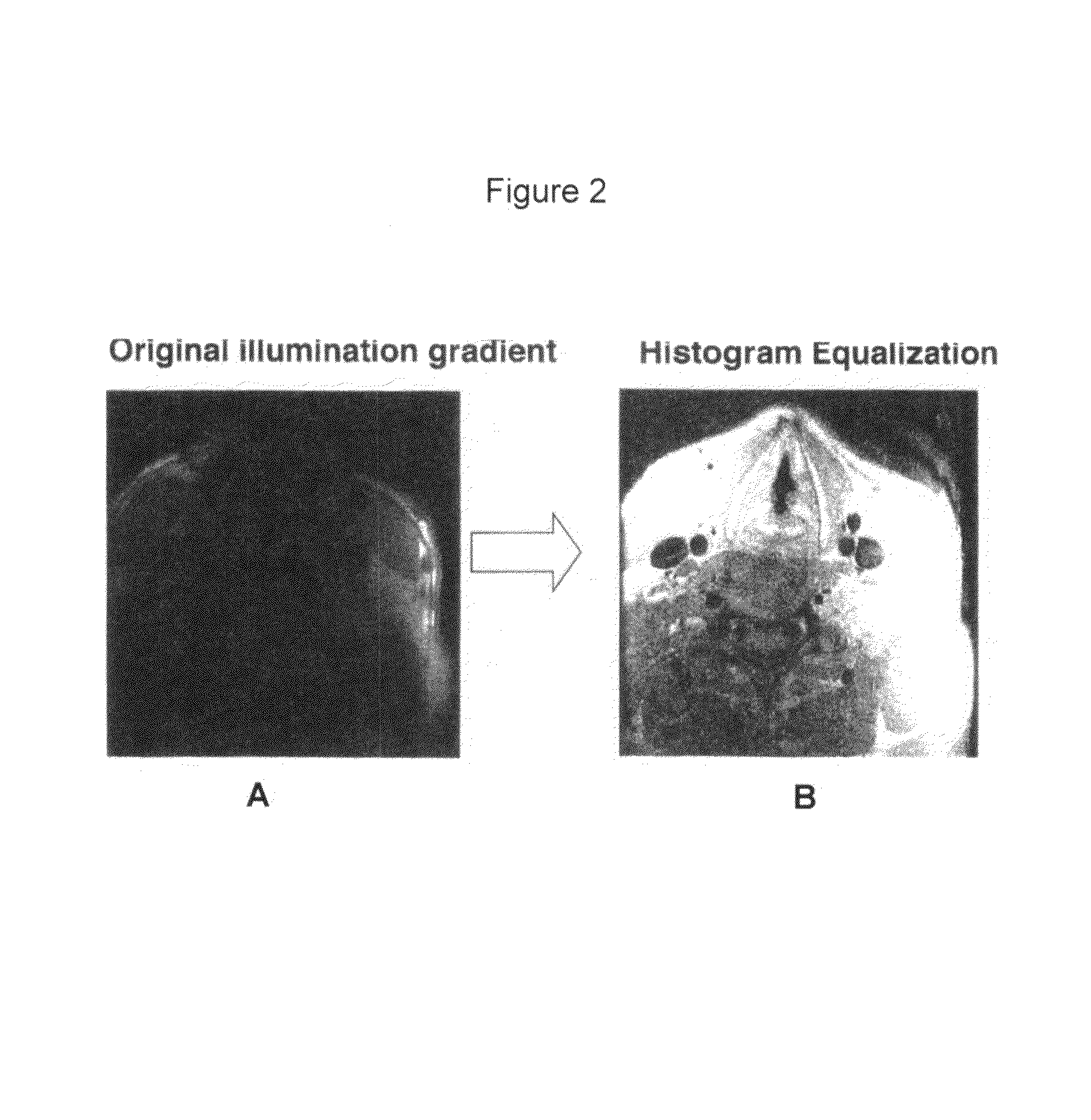 Automated methods and systems for vascular plaque detection and analysis