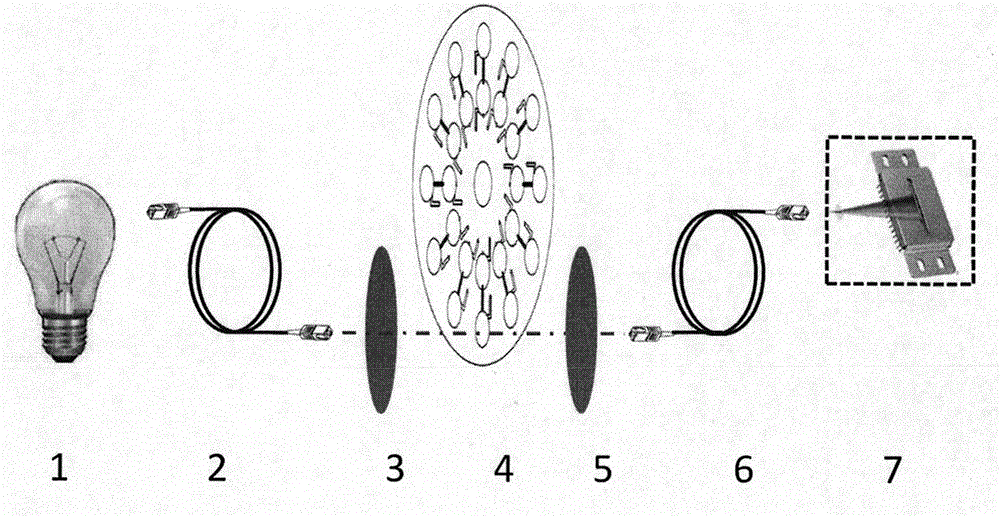 Micro-fluidic chip for detecting fluoride in water body and preparation method thereof