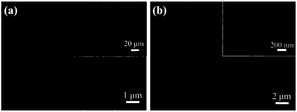 Titanium carbide/carbon core-shell nanowire array load nitrogen-doped lithium titanate composite material, preparation method and application thereof