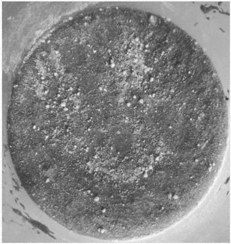 Method for preparing hydrophobic silica aerogel cement-based heat-preservation material