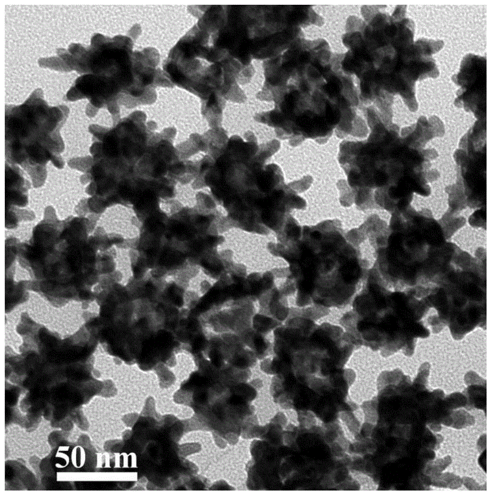 Composite nanomaterial of core-shell structure, preparation method thereof and application thereof