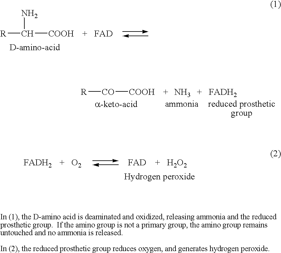 Identification and characterization of racemases, definition of protein signatures, and a test for detecting D-amino acid and for screening molecules capable of inhibiting the activity of racemase, especially proline racemase