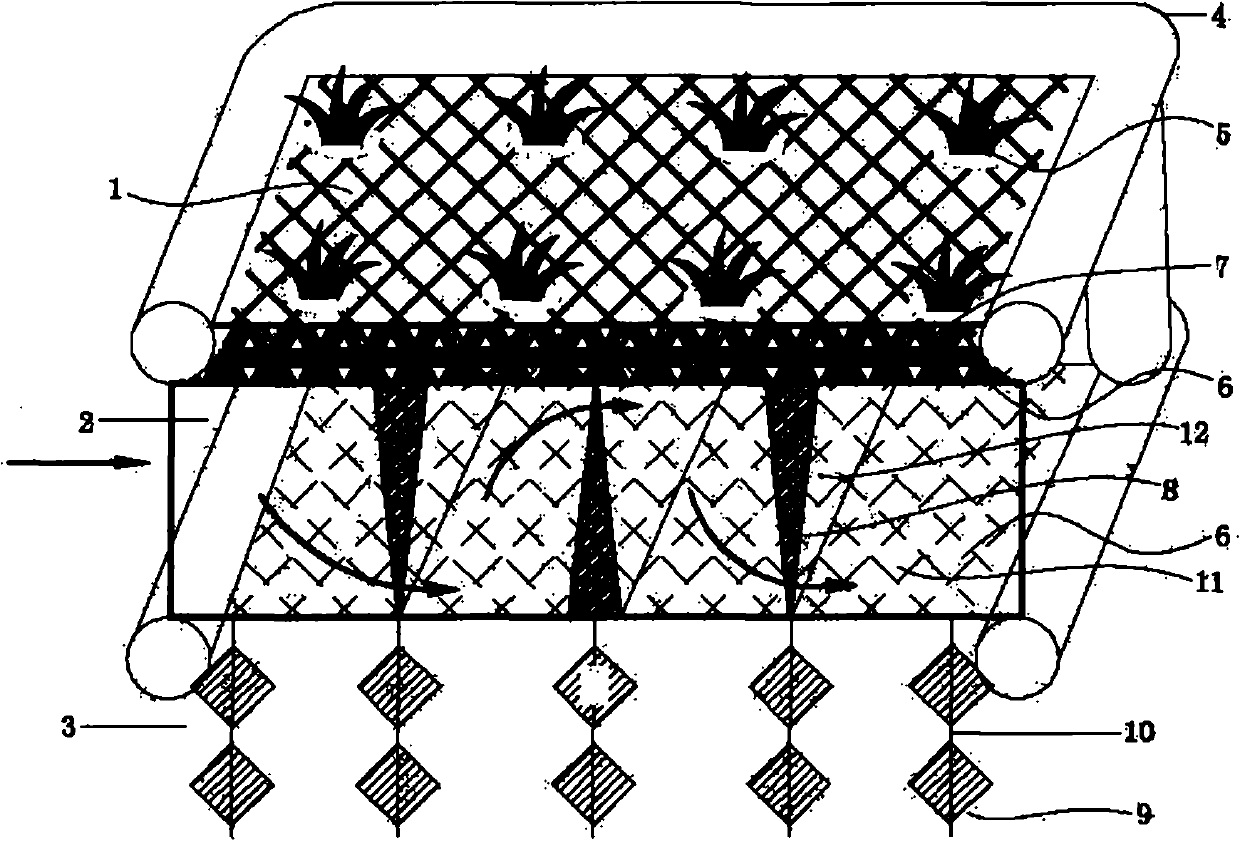 Automatic water oxygen-rich composite floating bed for strengthening biological carbon and phosphorous removal effect