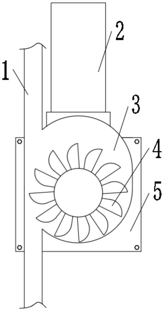 Water pipe hydropower generation device