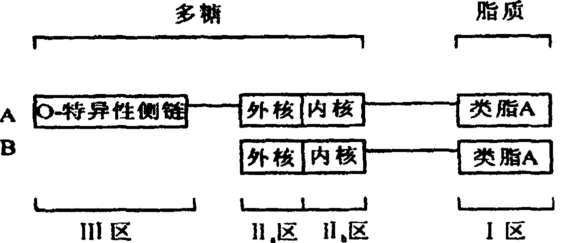 Method for taking off endotoxin in primary pure plasmids or proteins, and kit