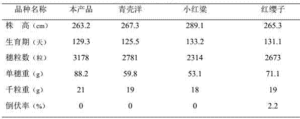 Cultivation method of sorghum