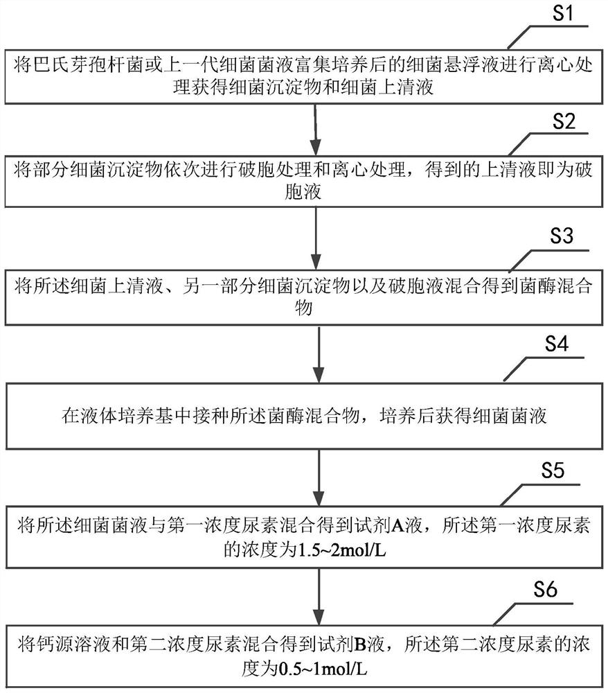 High-tolerance environment-friendly microbial modifier as well as preparation method and application thereof