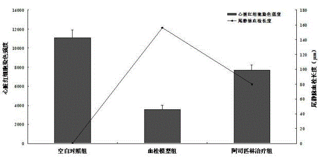 Method for establishing zebra fish thrombosis model