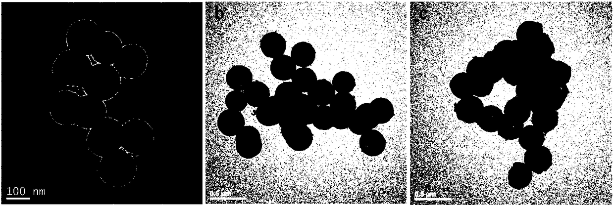 Two-factor slow-release system based on POC and mesoporous nanospheres