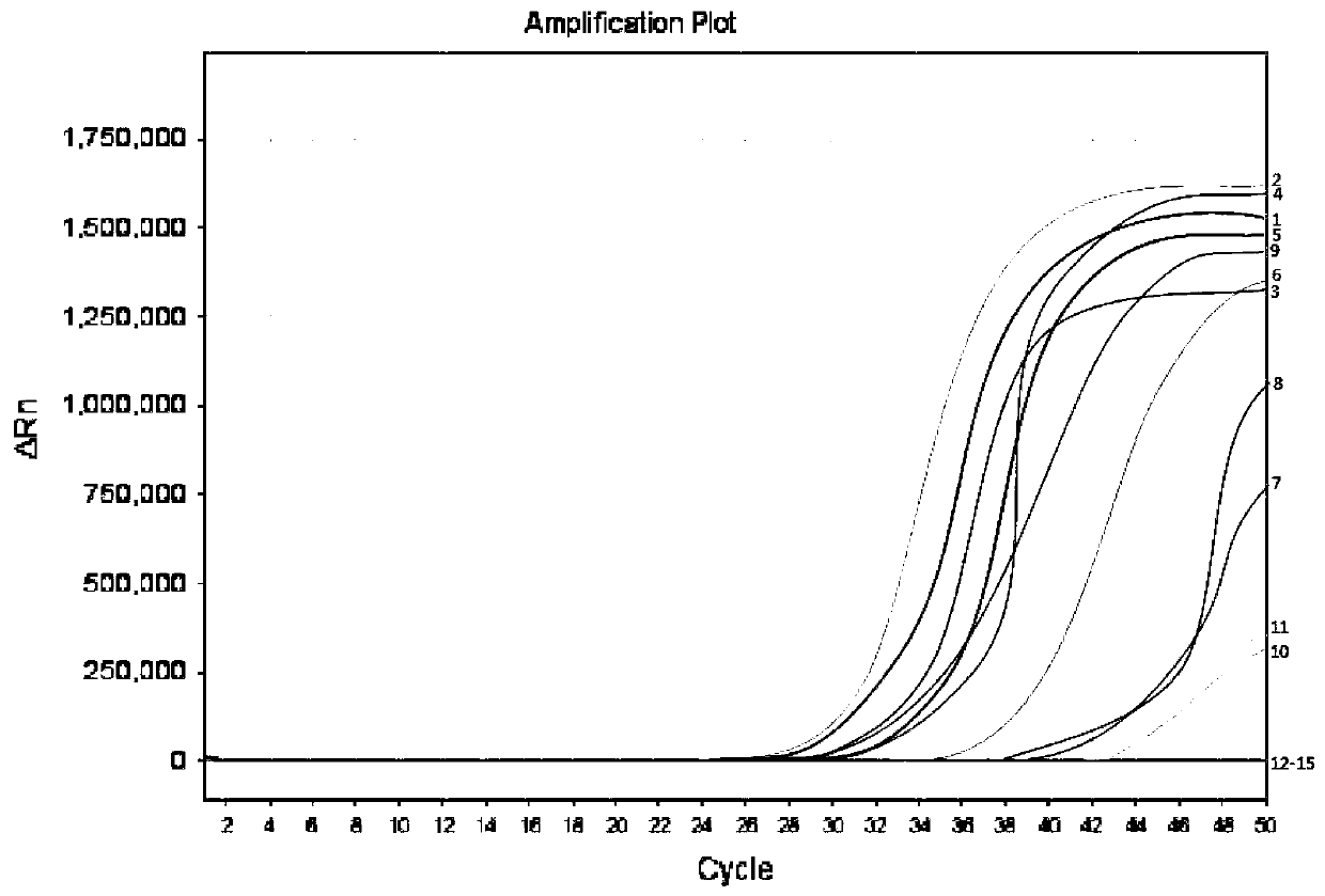 Human SDC2 gene methylation detection kit