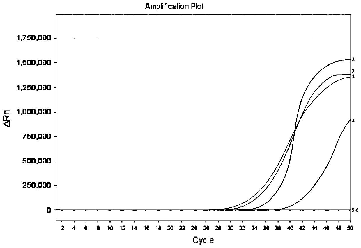 Human SDC2 gene methylation detection kit