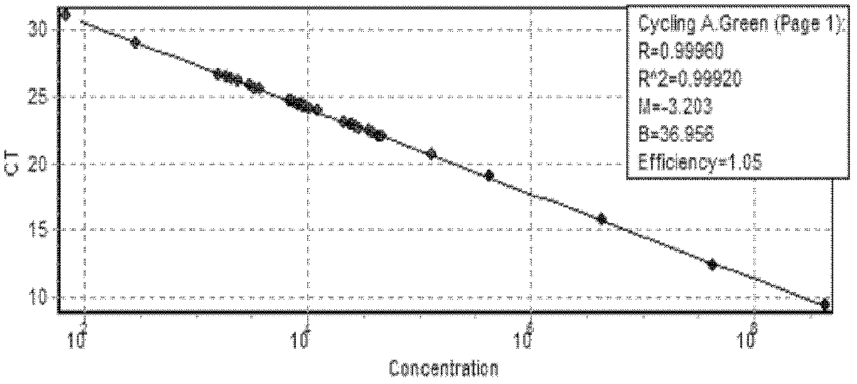 Method for establishing number of Fusarium sp. copies in rhizosphere soil in growth period of transgenic rice by fluorescence real-time quantitative PCR (polymerase chain reaction)