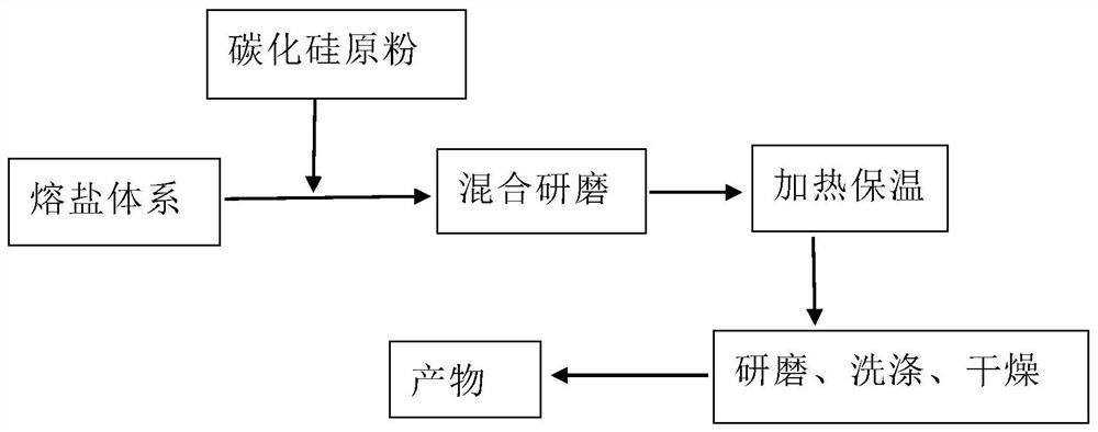 Shaping method of silicon carbide powder particles