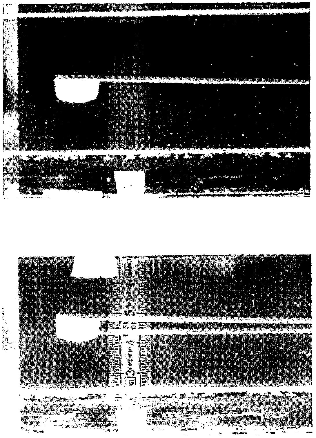 Process for making gastroretentive dosage forms