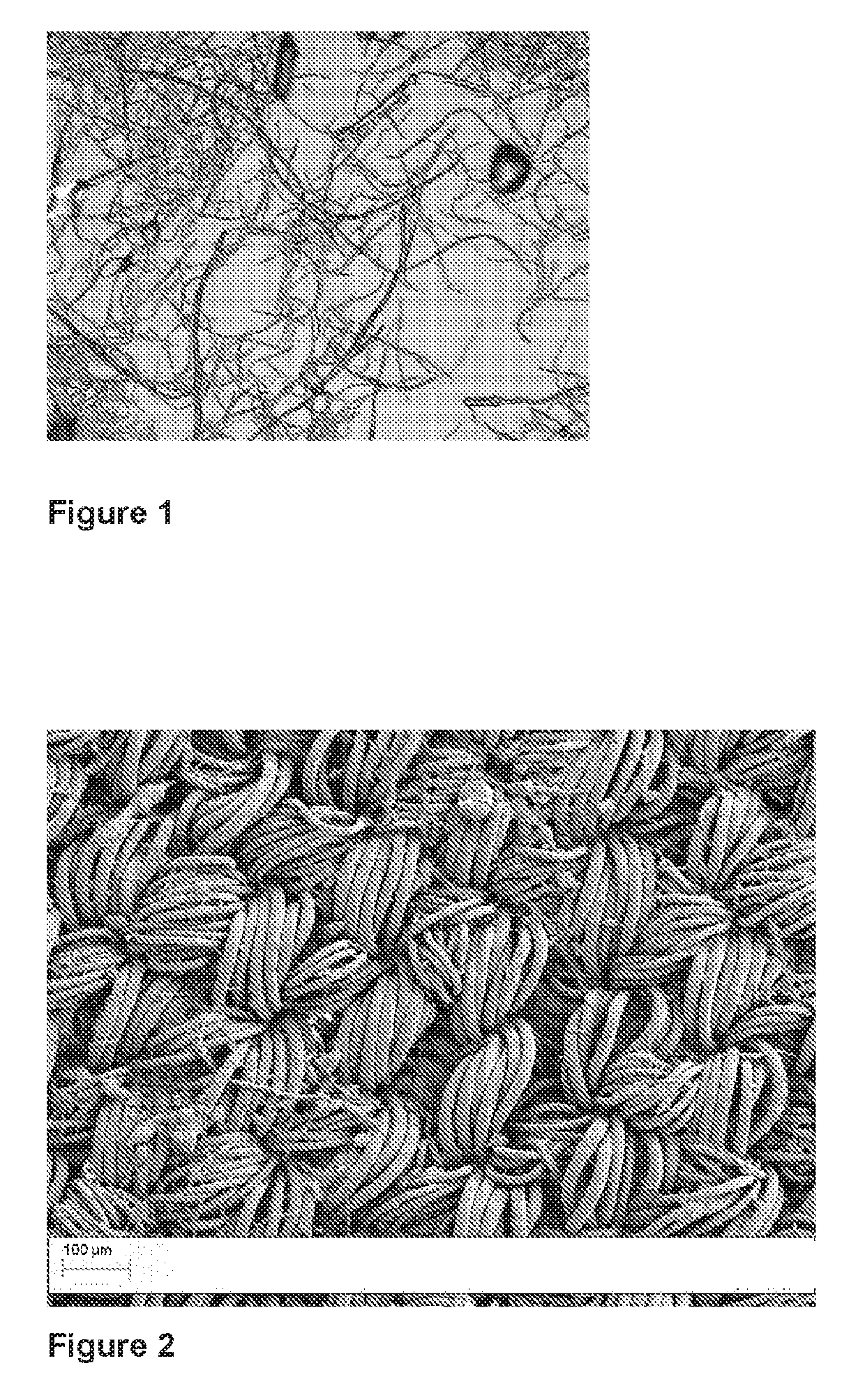 Process for providing water repellency