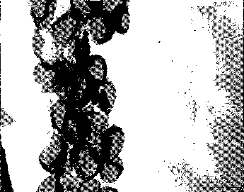 Drug-loaded polyelectrolyte capsules in response to phosphatase concentration and preparation method thereof