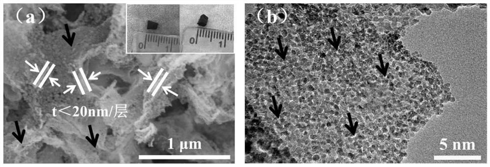 A general method for the assembly of ultrathin porous nanosheets using metal oxide quantum dots