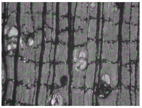 Wood softening agent and preparation method, wood softening method and wood slice manufacturing method