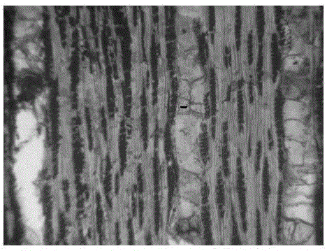 Wood softening agent and preparation method, wood softening method and wood slice manufacturing method