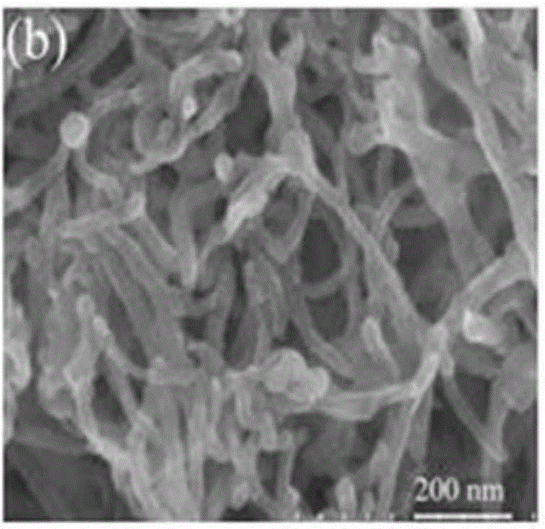 Nitrogen-enriched carbon shell cladded nano core-shell-structure carbonaceous carrier as well as preparation method and application thereof