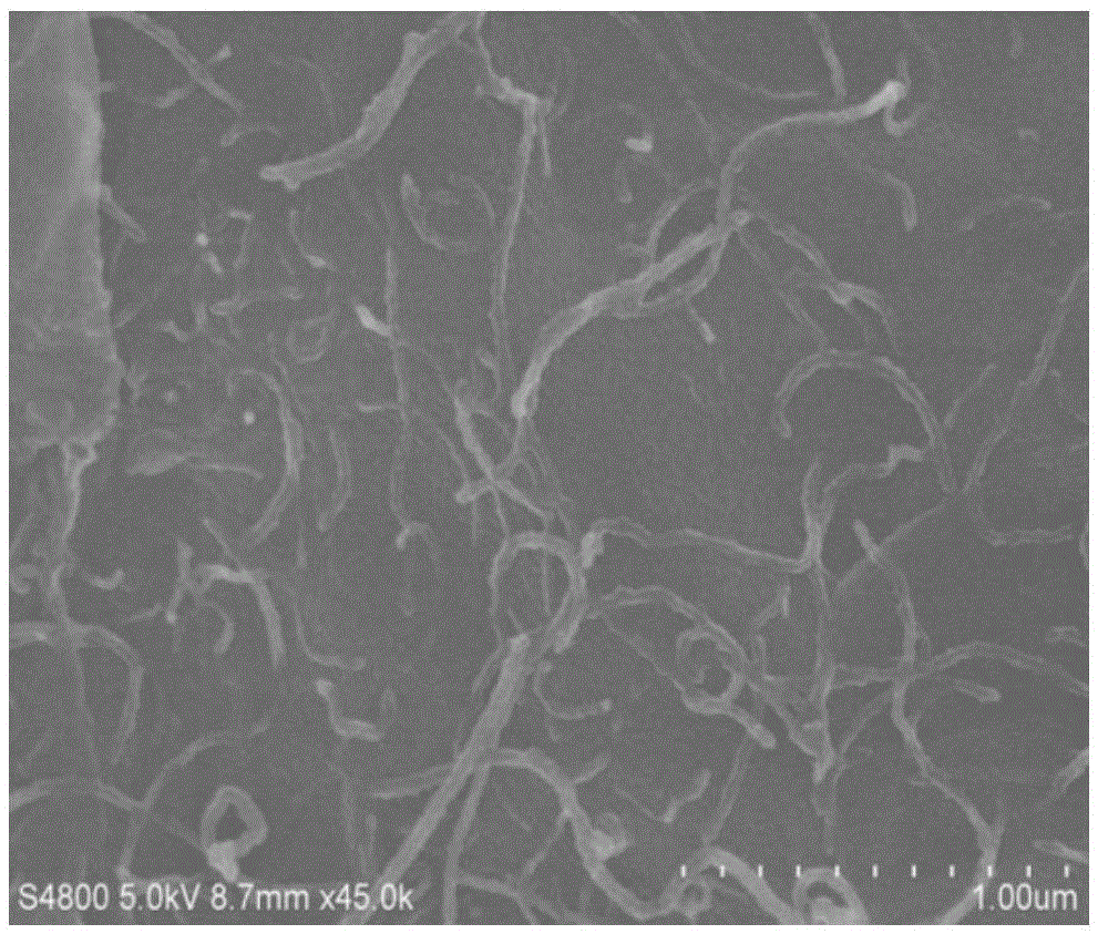 Nitrogen-enriched carbon shell cladded nano core-shell-structure carbonaceous carrier as well as preparation method and application thereof