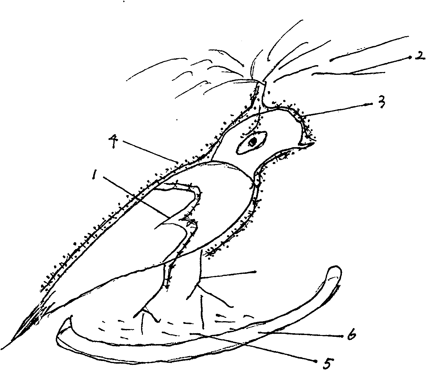 Method for quick cultivating art plant roots