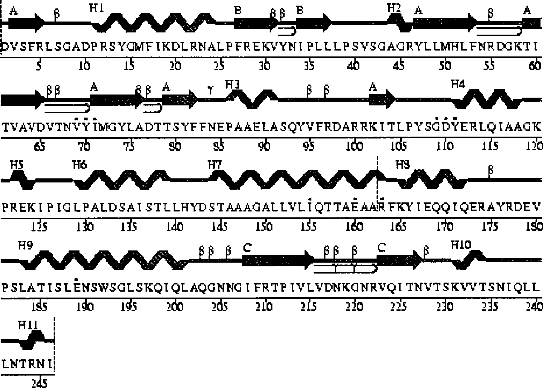 Balsm-pear-seed ribosome inactivated protein and its coding gene and use