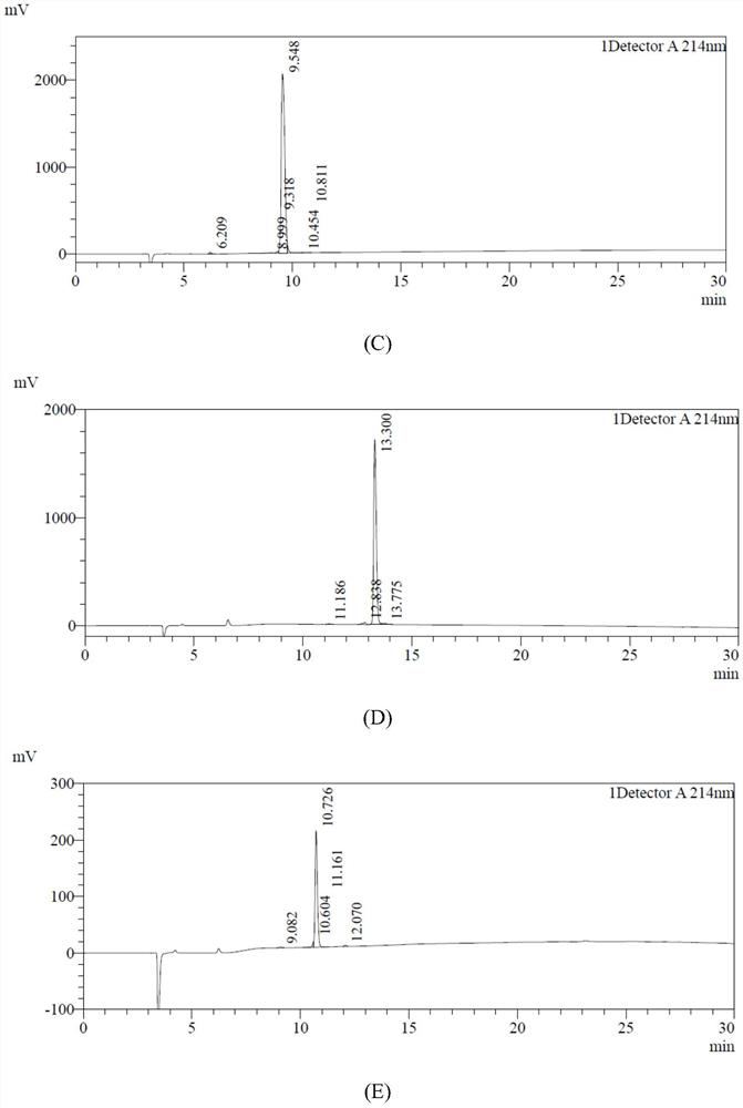 A kind of antioxidant active peptide and its application