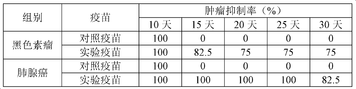 Antigen composition, preparation method and application of antigen composition and tumour vaccine