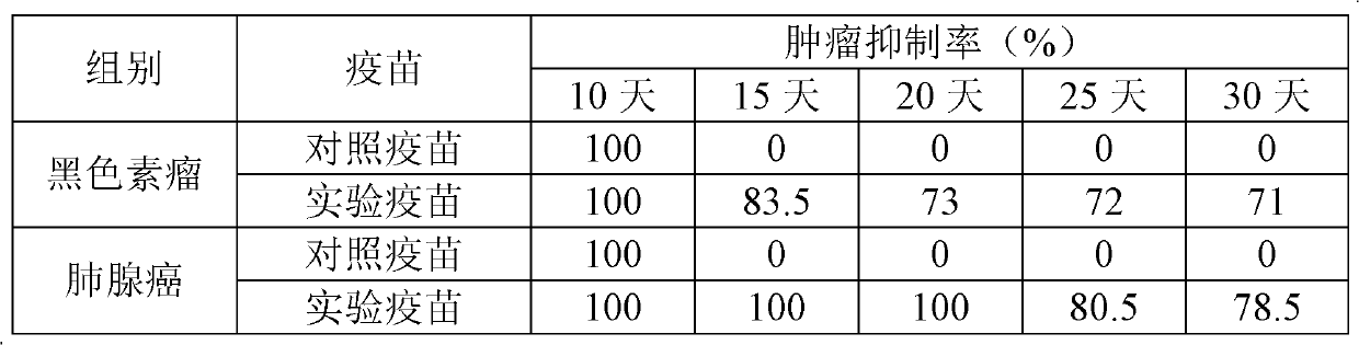 Antigen composition, preparation method and application of antigen composition and tumour vaccine