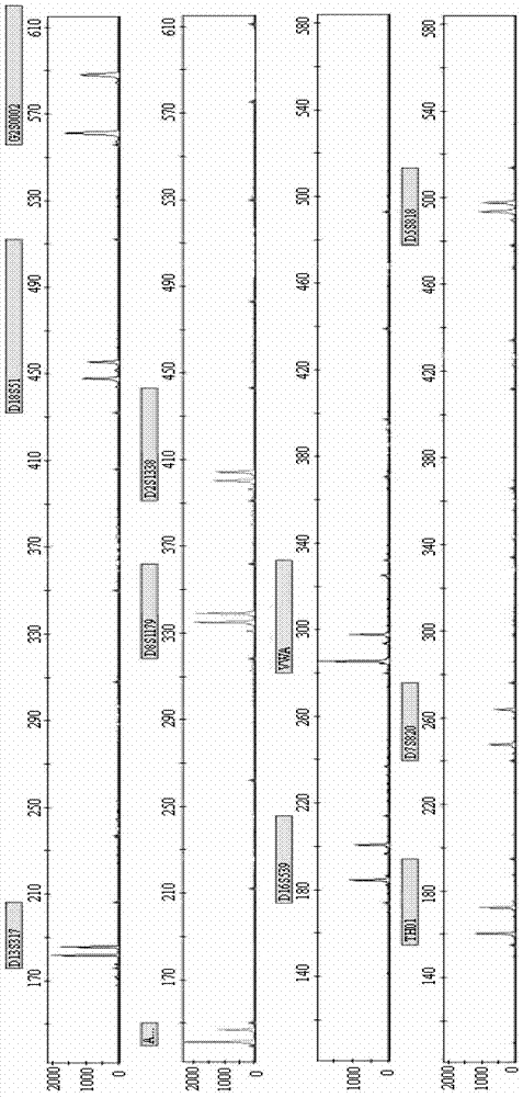 New Short Nucleotide Tandem Repeat Sequence Site and Its Application