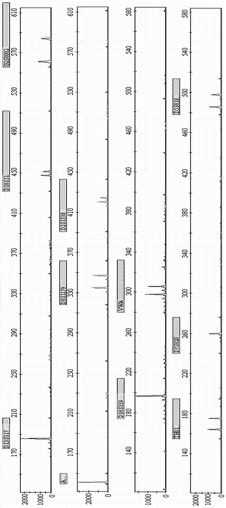 New Short Nucleotide Tandem Repeat Sequence Site and Its Application