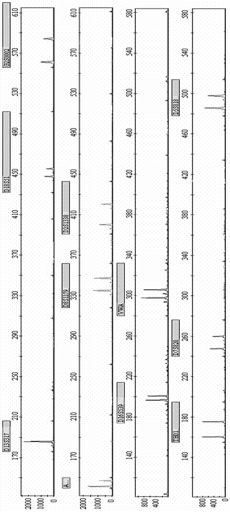 New Short Nucleotide Tandem Repeat Sequence Site and Its Application