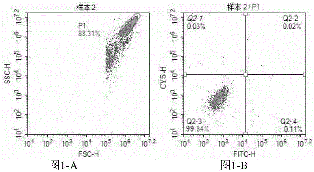 Kit for directly detecting 71 type enterovirus and A16 type coxsackievirus and application thereof