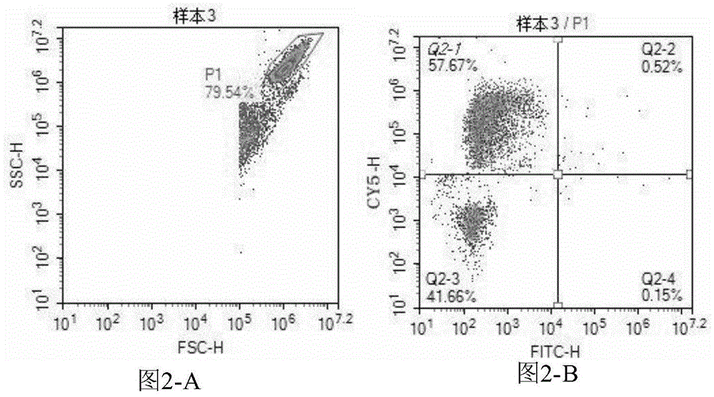 Kit for directly detecting 71 type enterovirus and A16 type coxsackievirus and application thereof