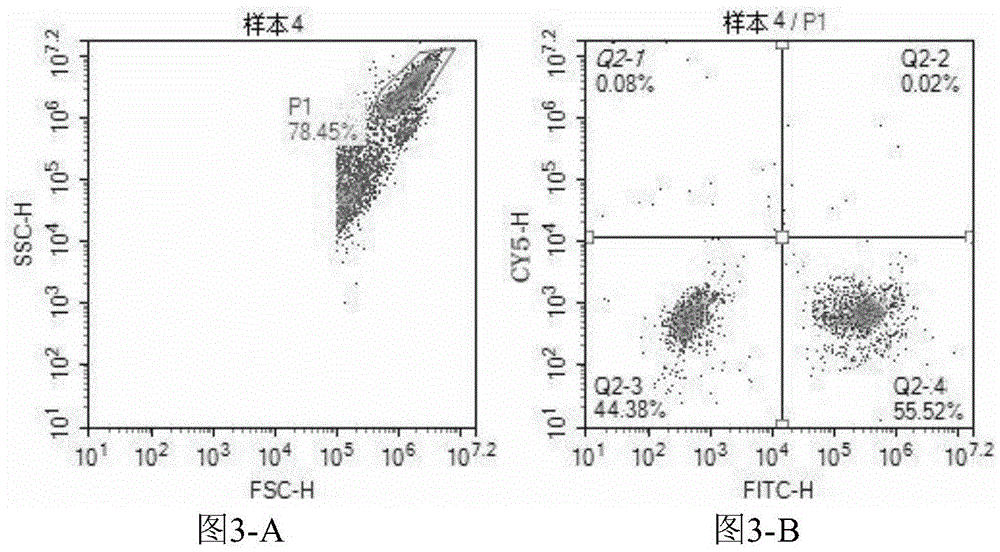 Kit for directly detecting 71 type enterovirus and A16 type coxsackievirus and application thereof