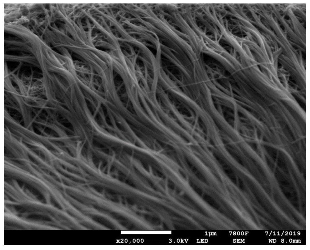 Electrode material with fiber structure and preparation and application