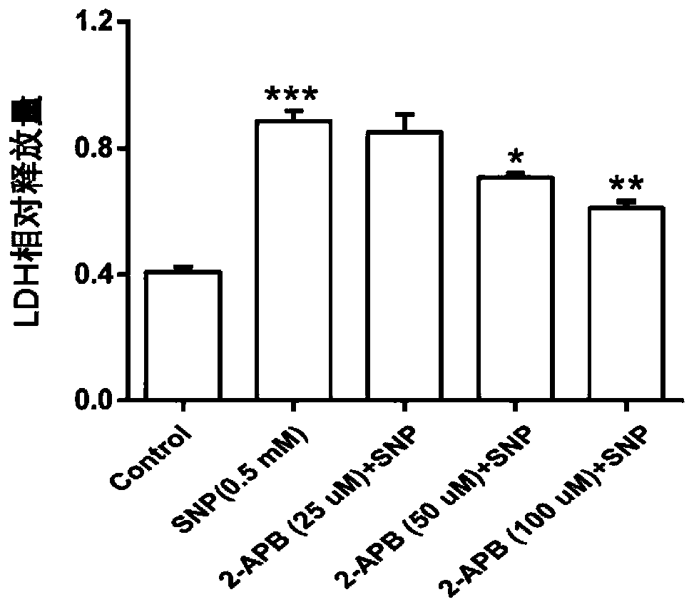 Application of 2-APB in preparation of medicine for treating osteoarthritis